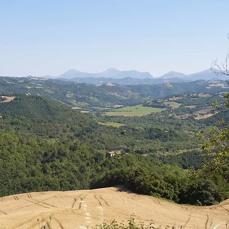 Tenuta Di * Biscina