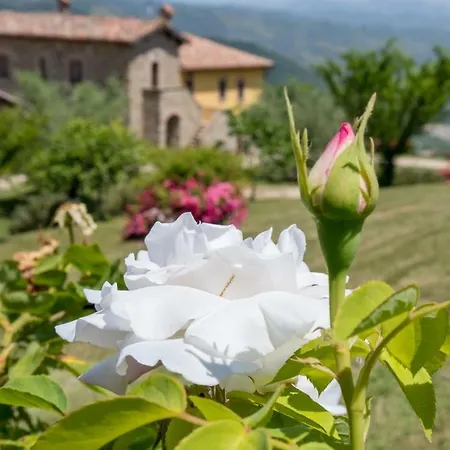 Tenuta Di *