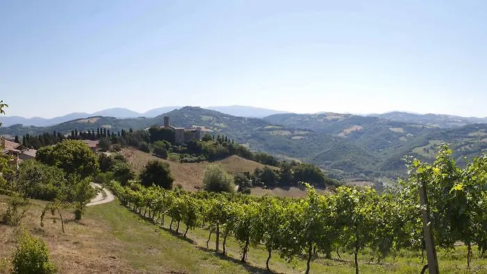 Tenuta Di ファームステイ